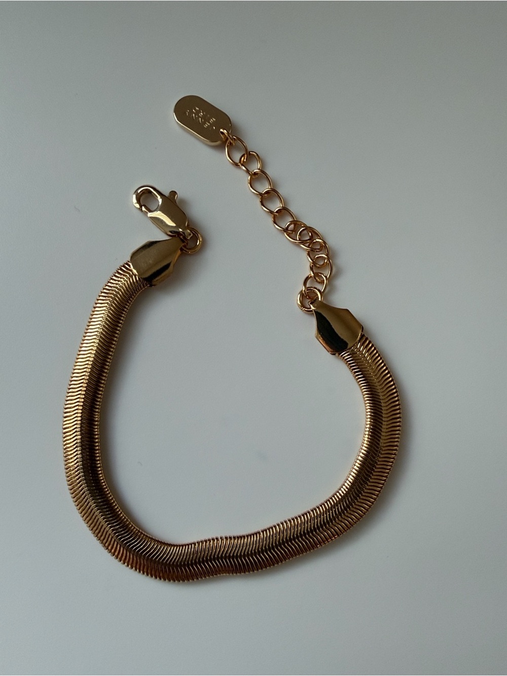 NWOT Jenny Bird Polished Gold Herringbone Chain Bracelet